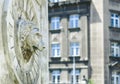 Lion head statue on stone fountain wall spouting water Royalty Free Stock Photo