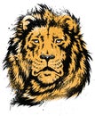 Lion Head Stencil Vector Royalty Free Stock Photo