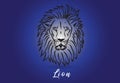 Lion head stylized logo vector