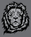 Lion Head Vector