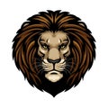 Lion Head Royalty Free Stock Photo
