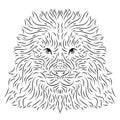 Lion head vector drawing