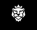 Lion kings head logo in black background Royalty Free Stock Photo