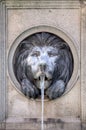 Lion head water fountain