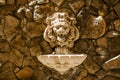 Lion head water fountain