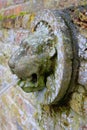 Lion head waterspout in an English garden