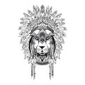 Lion head on a white background, a lion in the feathers of an Indian, an american native