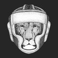 Lion head. Wild animal portrait. Boxing helmet. Boxer. Face of african cat.