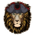 Lion head. Wild animal portrait. Face of african cat. Cocked hat. Royalty Free Stock Photo