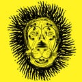 Lion Head on yellow background