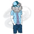 Lion hipster in summer clothes. The leo with the human body. Fashion & Style. Vector illustration for greeting card, poster, or pr