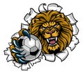 Lion Holding Soccer Ball Breaking Background