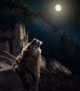 Lion howl to the moon Royalty Free Stock Photo