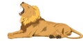 Lion, illustration