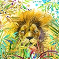 Lion illustration. Tropical exotic forest, green leaves, wildlife, lion, watercolor illustration.