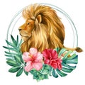 Lion on isolated white background watercolor botanical painting Royalty Free Stock Photo