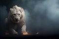 The Lion of Judah - White albino imposing lion - Fire, smoke, ashes, embers - Fantasy Feline Lion King - Copy space