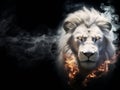 The Lion of Judah - White albino imposing lion - Fire, smoke, ashes, embers - Fantasy Feline Lion King