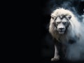 Lion of Judah - White albino imposing lion - Fire, smoke, ashes - Fantasy Feline Lion King - Horizontal banner style - White Smoke