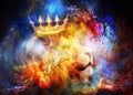 Lion king in cosmic space. Lion on cosmic background. Royalty Free Stock Photo