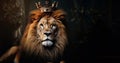 lion with king crown laying in dark jungle