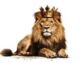 Lion With King of Jungle Crown Royalty Free Stock Photo