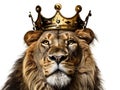 Ai Generated illustration Wildlife Concept of Lion With King of Jungle Crown Royalty Free Stock Photo