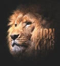The lion of the king and low light effect Royalty Free Stock Photo