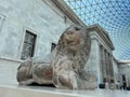 The Lion of Knidos sculpture inside the British Museum Great Court, London, England Royalty Free Stock Photo