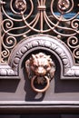 A Lion knocker on a stained door.