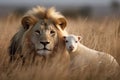 The Lion and the Lamb, Bible description of the coming of Jesus Christ