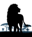 Lion in landscape with trees. African savanna predator. Silhouette picture. Dangerous animal in natural conditions Royalty Free Stock Photo