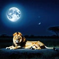 lion lies in the savannah at night in the background is a