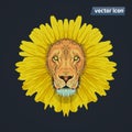 Lion like dandelion Royalty Free Stock Photo
