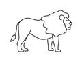 Lion linear vector icon. Isolated outline of an lion on a white background. Lion drawing Royalty Free Stock Photo