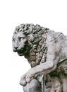 Lion at Loggia dei Lanzi Image In White Background, Piazza della Signoria, Florence, Italy Royalty Free Stock Photo