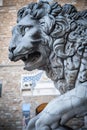 Lion at Loggia dei Lanzi, Piazza della Signoria, Florence, Italy Royalty Free Stock Photo