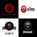 Lion Logo Graphic Designs