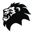 Lion Logo Roar Vector Sports Mascot Design Icon Illustration Royalty Free Stock Photo