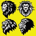 Lion Logo Set Collection. Premium Design Vector Illustration Icon