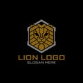 Lion Logo. Tactical Target Leon Shield military Gear Design Armory Squadrone team Logo