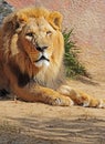 Lion Royalty Free Stock Photo