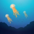 Lion mane jellyfish Royalty Free Stock Photo