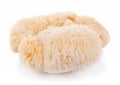 Lion mane mushroom isolated on white background Royalty Free Stock Photo