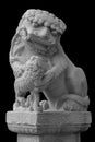 Lion marble face, Chinese Lion, stone carving sculpture, the symbol of Power, by Chinese. Stone Lion sculpture