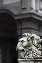 A Lion marble head, on the base of the Hercules statue pedestal, in Piazza della Signoria, Florence