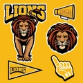 Lion mascot set