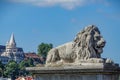 Lion monument on chain bridge - Budapest.