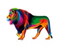 Lion from multicolored paints. Splash of watercolor, colored drawing, realistic Royalty Free Stock Photo