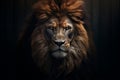 Lion nature portrait animal